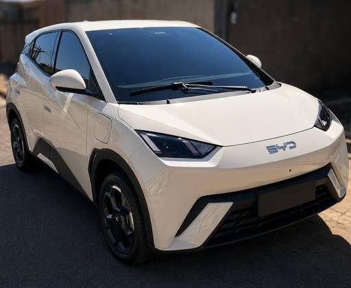 BYD DOLPHIN MINI 38 KW ELÉTRICO GS